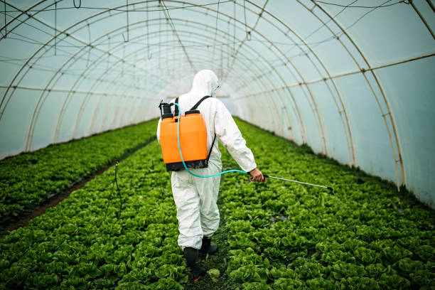 Best Best Pest Control Companies  in Ruckersville, VA