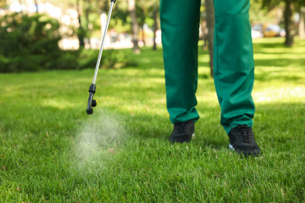 Best Exterminator Services  in Ruckersville, VA