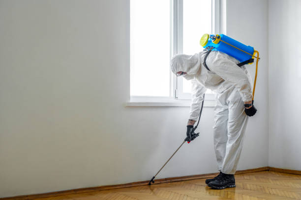 Pest Control Cost in Ruckersville, VA