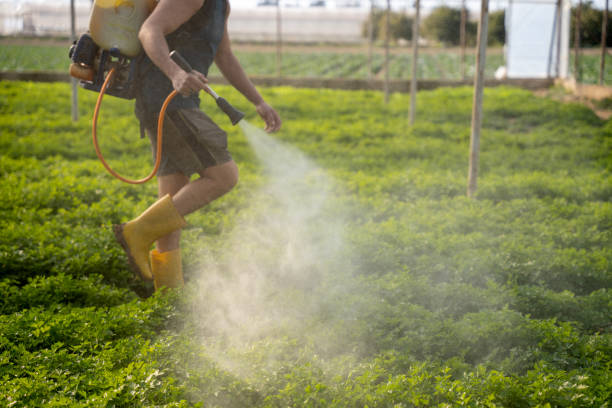 Insect Control in Ruckersville, VA