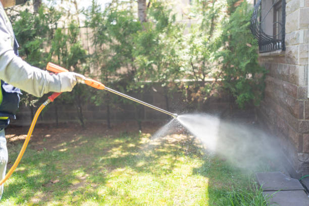 Best Pest Prevention Services  in Ruckersville, VA