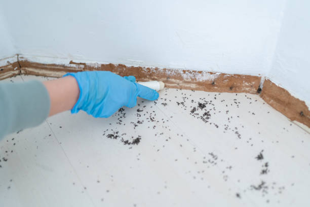 Best Pest Inspection Near Me  in Ruckersville, VA