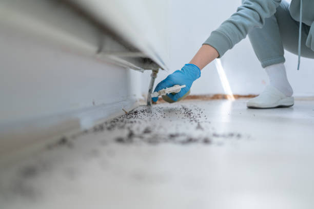 Trusted Ruckersville, VA Pest Control Experts